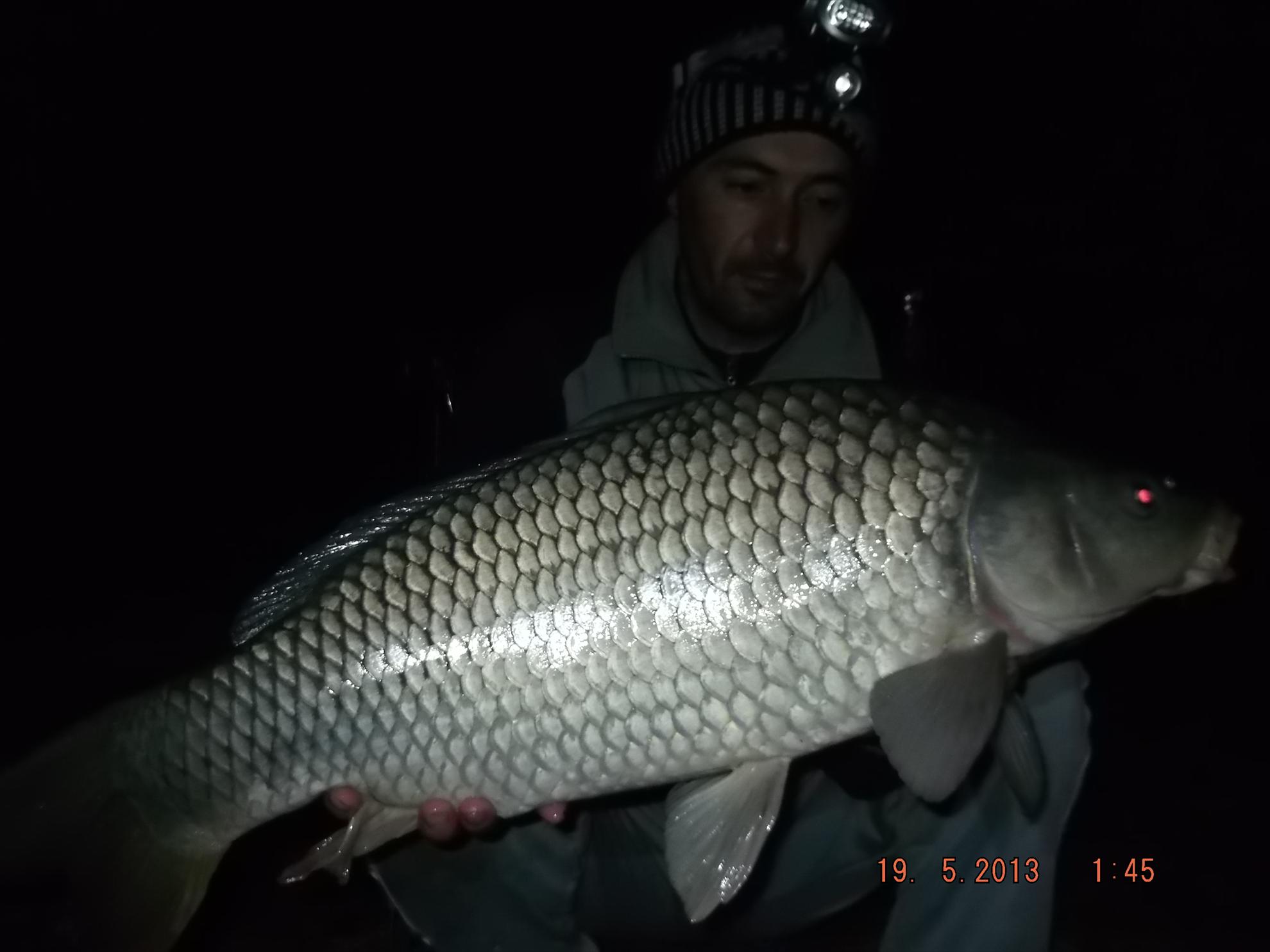 noaptea partea a ll - dscf0615.JPG